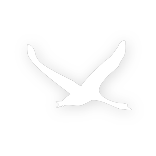 zenrace - mediadesign for web & print